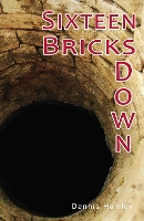 Book Cover for Sixteen Bricks Down by Hamley Dennis