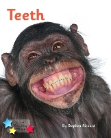 Book Cover for Teeth by Stephen Rickard