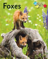 Book Cover for Foxes by Jill Atkins
