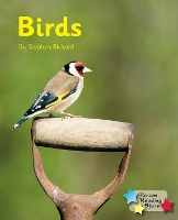 Book Cover for Birds by Rickard Stephen