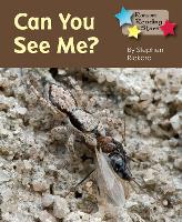 Book Cover for Can You See Me by Rickard Stephen