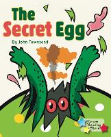 Book Cover for The Secret Egg by Townsend John