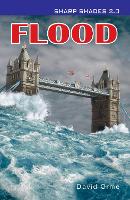 Book Cover for Flood by David Orme