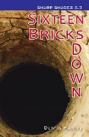 Book Cover for Sixteen Bricks Down by Dennis Hamley