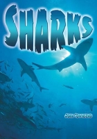 Book Cover for Sharks by John Townsend