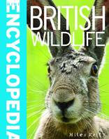 Book Cover for British Wildlife by 
