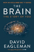 Book Cover for The Brain by David Eagleman