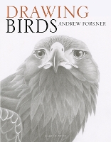 Book Cover for Drawing Birds by Andrew Forkner