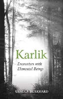 Book Cover for Karlik by Ursula Burkhard