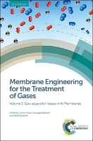 Book Cover for Membrane Engineering for the Treatment of Gases by Enrico (The Institute on Membrane Technology, National Research Council, Italy) Drioli