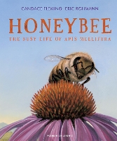 Book Cover for Honeybee by Candace Fleming