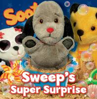 Book Cover for Sweep's Super Surprise by Angie Hicks