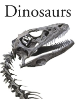 Book Cover for Dinosaurs by Carl Mehling