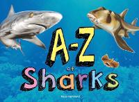 Book Cover for A–Z of Sharks by Paula Hammond