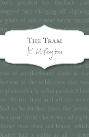 Book Cover for The Team by K M Peyton