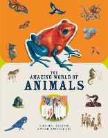 Book Cover for Paperscapes. The Amazing World of Animals by Moira Butterfield