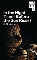 Book Cover for In the Night Time (Before the Sun Rises) by Nina (Author) Segal