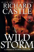 Book Cover for Wild Storm by Richard Castle