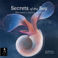 Book Cover for Secrets of the Sea by Kate Baker