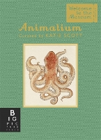 Book Cover for Animalium (Mini Gift Edition) by Jenny Broom