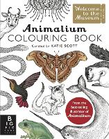 Book Cover for Animalium Colouring Book by Kate Baker