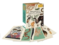 Book Cover for Animalium Postcards by Katie Scott