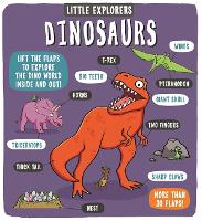 Book Cover for Little Explorers: Dinosaurs by Dynamo Ltd.