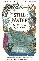Book Cover for Still Water by John Lewis-Stempel