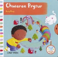 Book Cover for Cyfres Gwthio, Tynnu, Troi: Chwarae Prysur / by Dref Wen