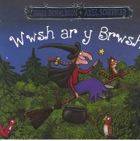Book Cover for Wwsh ar y Brwsh by Julia Donaldson