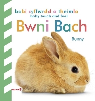 Book Cover for Babi Cyffwrdd a Theimlo: Bwni Bach / Baby Touch and Feel: by DK