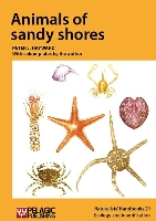 Book Cover for Animals of sandy shores by Peter J. Hayward