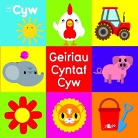 Book Cover for Cyfres Cyw: Geiriau Cyntaf Cyw by Helen Davies