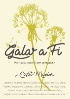 Book Cover for Galar a Fi by Various