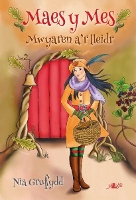 Book Cover for Cyfres Maes y Mes: Mwyaren a'r Lleidr by Nia Gruffydd