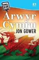 Book Cover for Stori Sydyn: Arwyr Cymru by Jon Gower