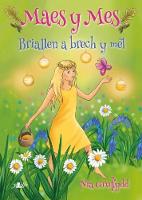 Book Cover for Briallen a Brêch Y Mêl by Nia Gruffydd