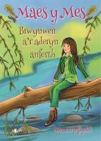 Book Cover for Brwynwen A'r Aderyn Anferth by Nia Gruffydd