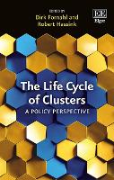 Book Cover for The Life Cycle of Clusters by Dirk Fornahl