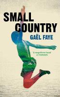 Book Cover for Small Country by Gael Faye