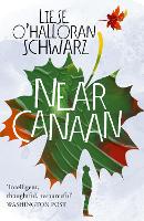 Book Cover for Near Canaan by Liese O'Halloran Schwarz