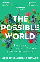 Book Cover for The Possible World by Liese O'Halloran Schwarz