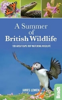 Book Cover for A Summer of British Wildlife by James Lowen