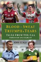 Book Cover for Blood, Sweat, Triumph and Tears by John Scally