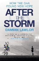 Book Cover for After the Storm by Damian Lawlor