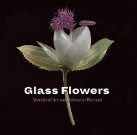 Book Cover for Glass Flowers by Jennifer Brown, Scott E. Fulton, Donald H. Pfister, Natalja Kent