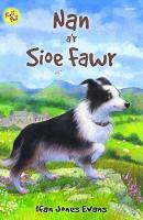 Book Cover for Nan A'r Sioe Fawr by Ifan Jones Evans