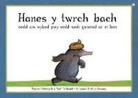 Book Cover for Hanes y Twrch Bach oedd am Wybod Pwy oedd Wedi Gwneud ar ei Ben by Werner Holzwarth