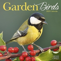 Book Cover for Garden Birds Calendar 2020 by Avonside Publishing Ltd