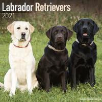 Book Cover for Labrador Retrievers 2021 Wall Calendar by Avonside Publishing Ltd